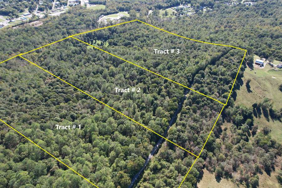 Rosiclare Tracts 123 lines1.jpg